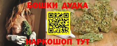 стаф Боровичи